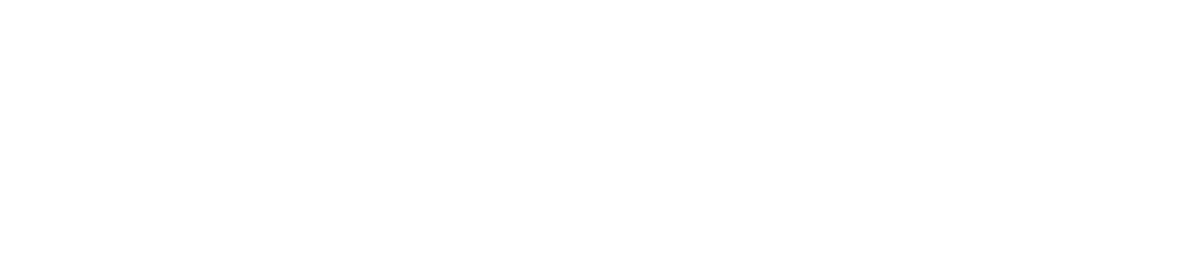 Royal Flight Support Logo